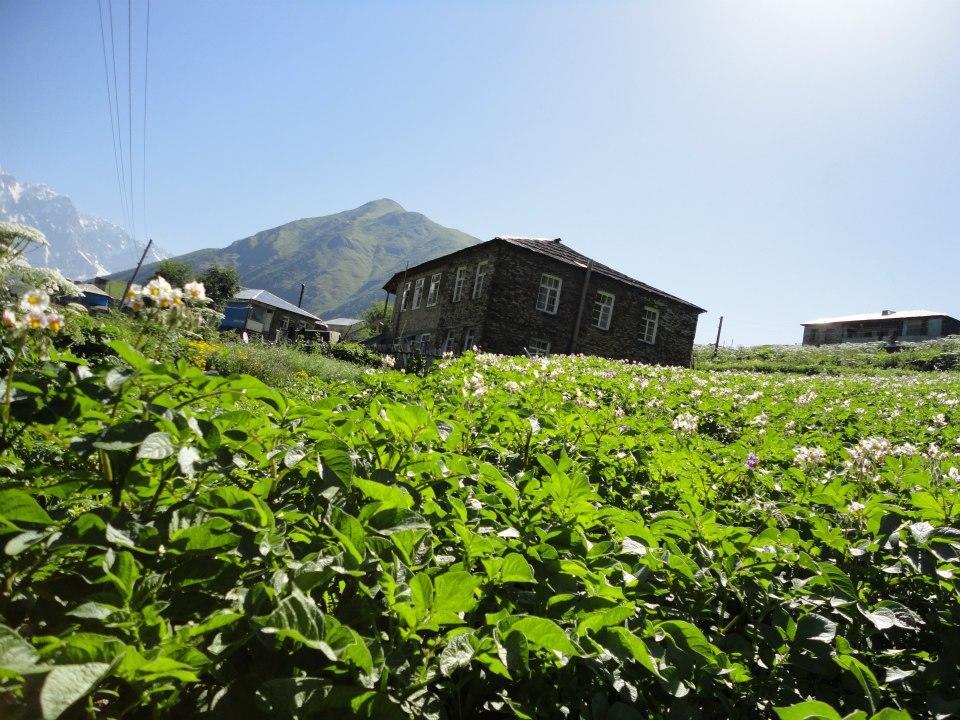 Caucasus Guesthouse Ushguli Buitenkant foto